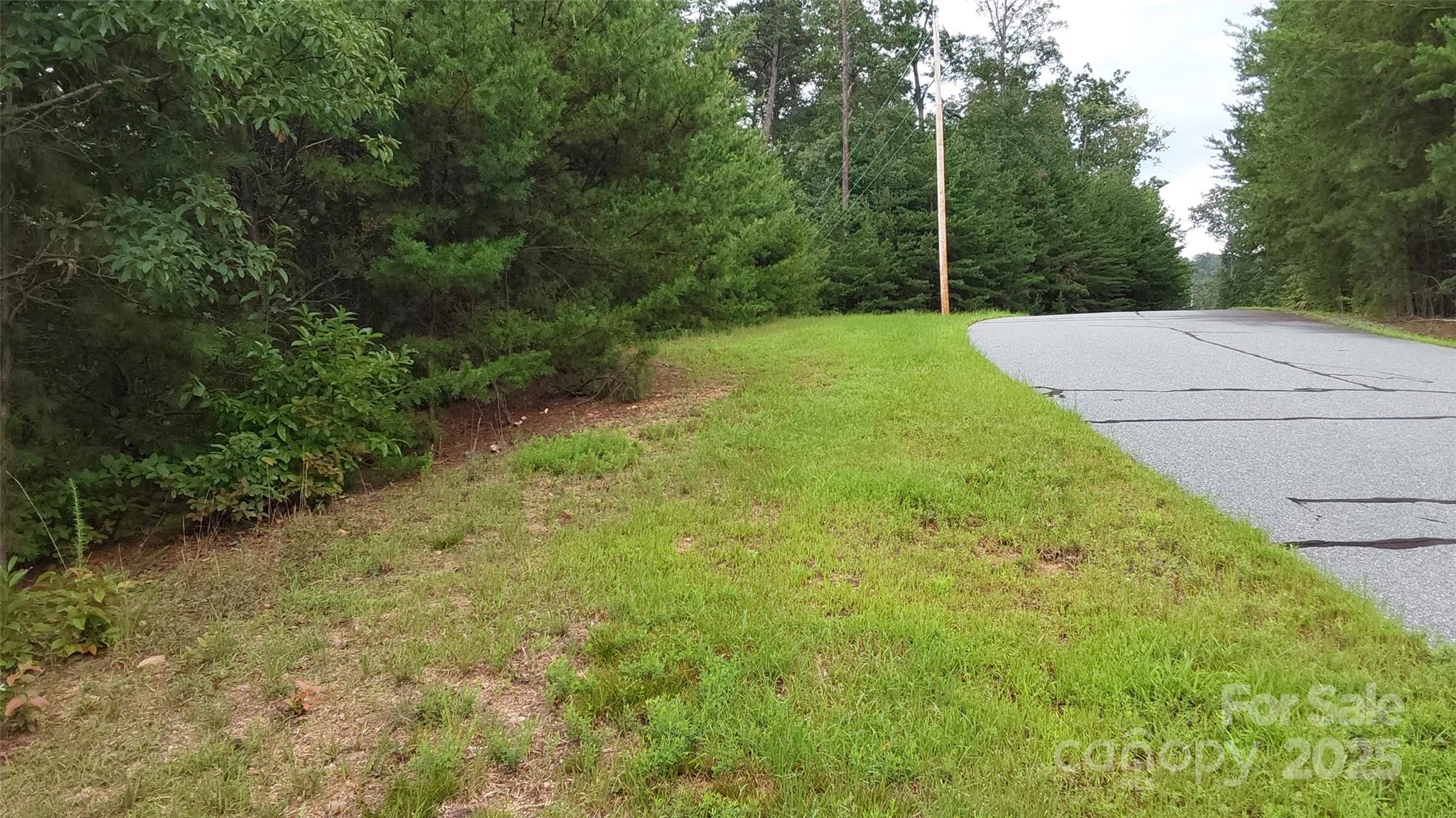 Yellowtop Mountain Estates - Land