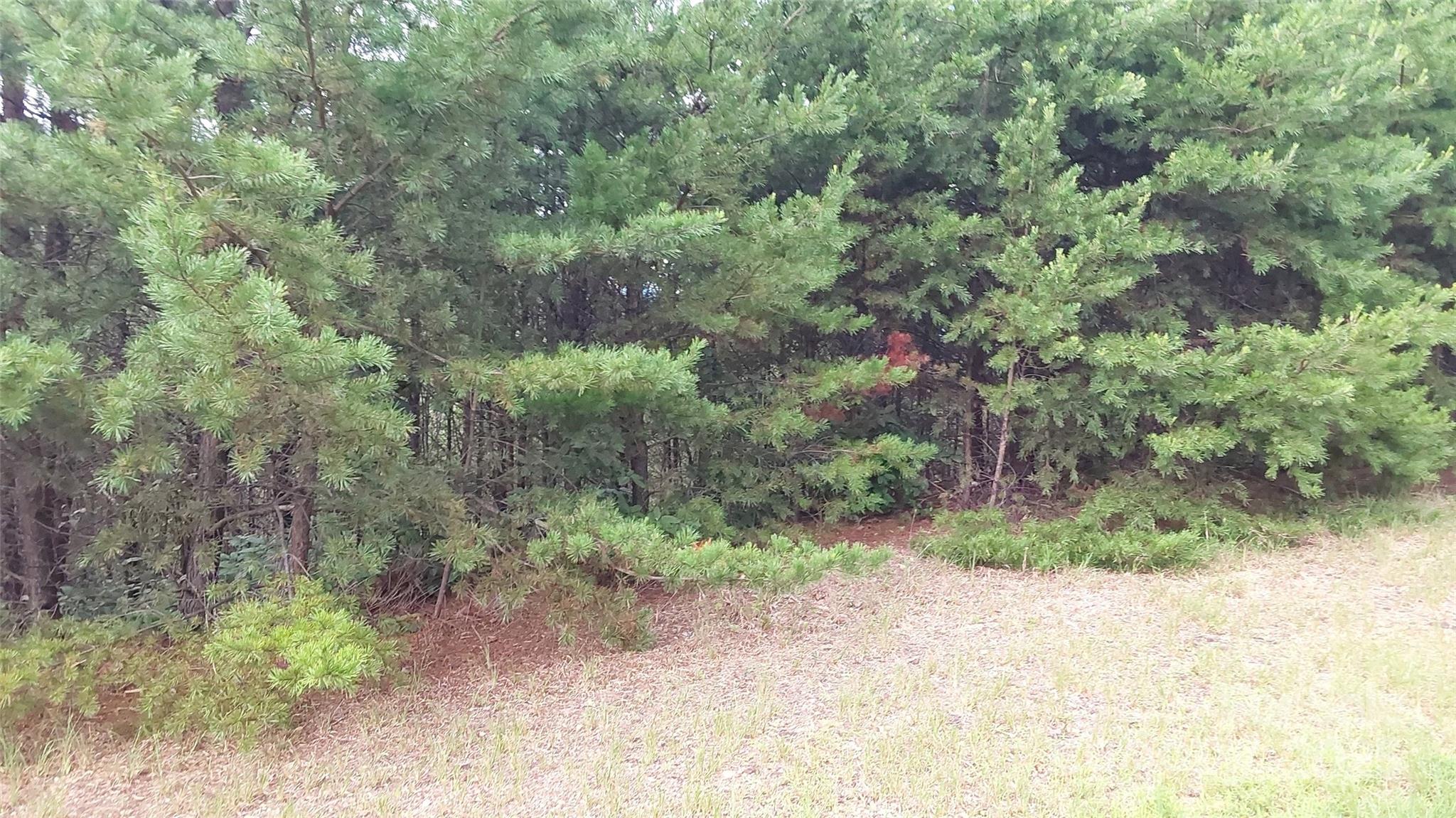 Yellowtop Mountain Estates - Land