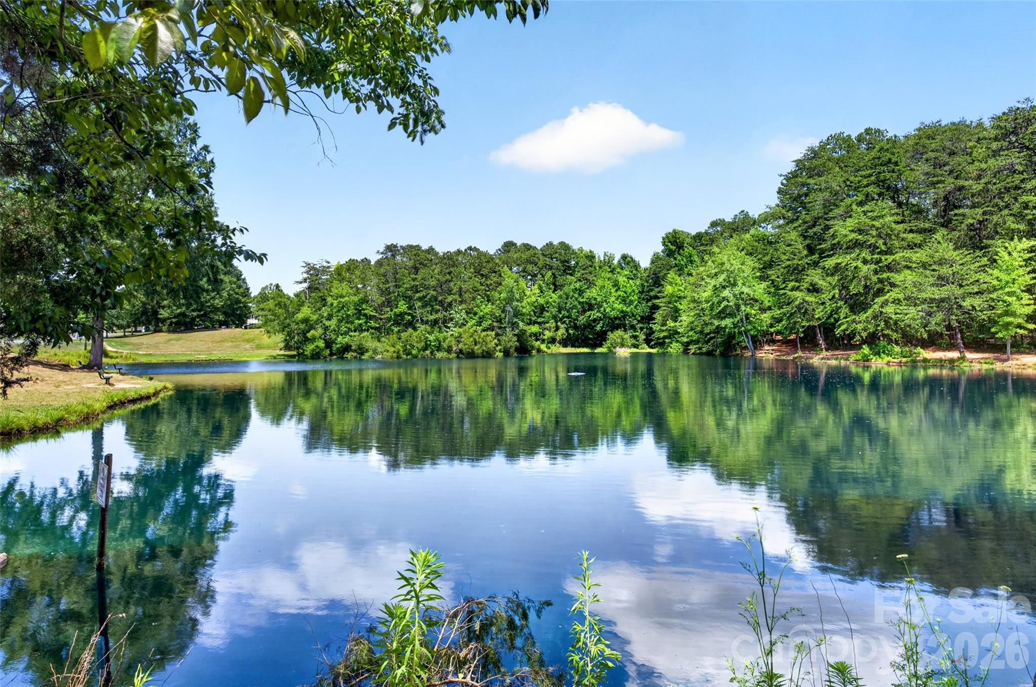 Curtis Pond - Residential