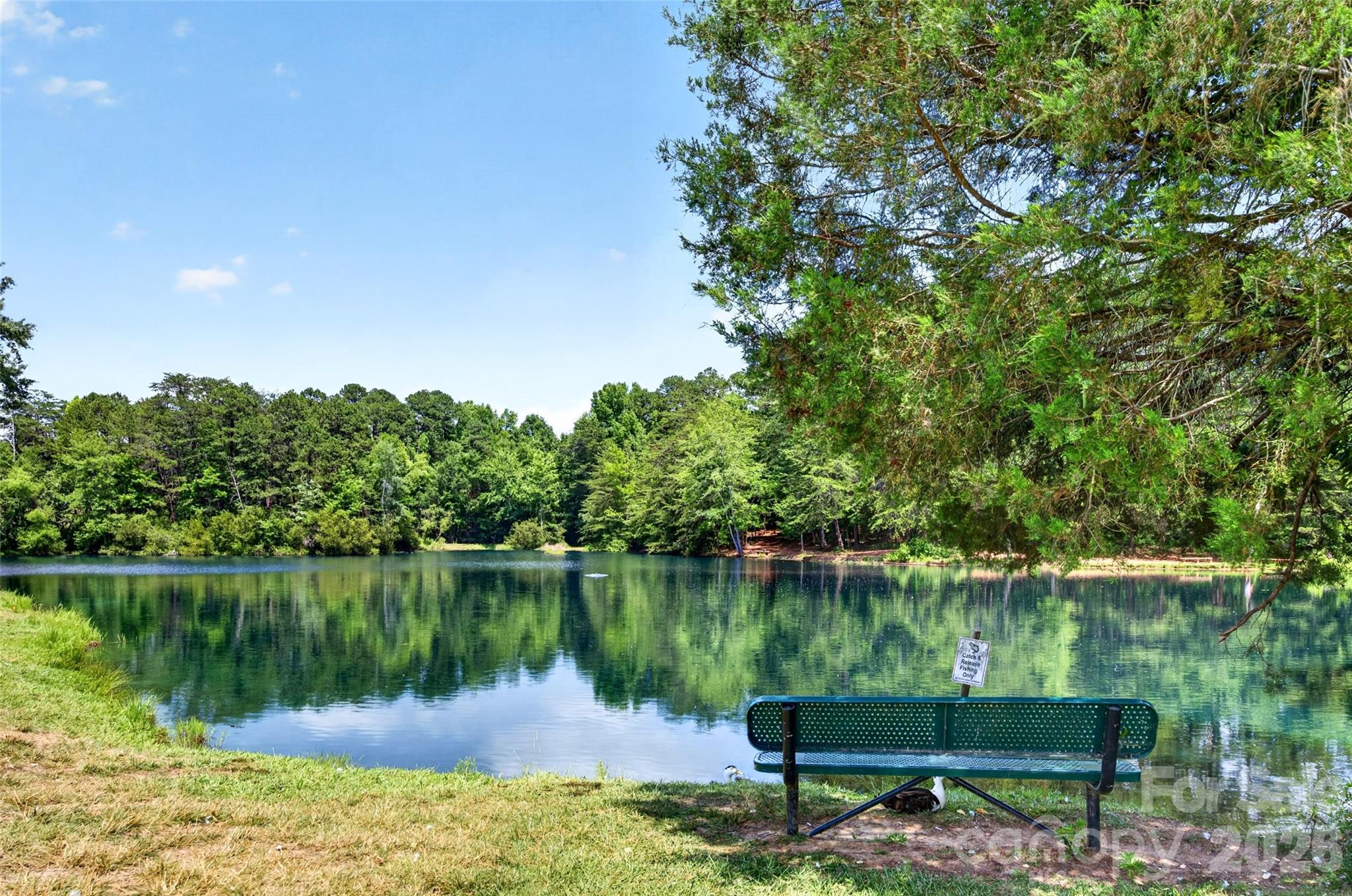 Curtis Pond - Residential