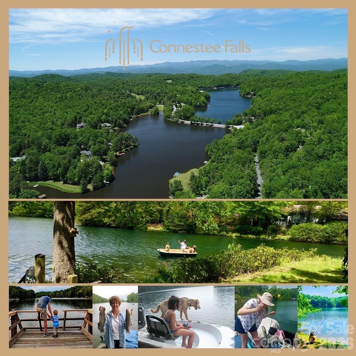 Connestee Falls - Residential