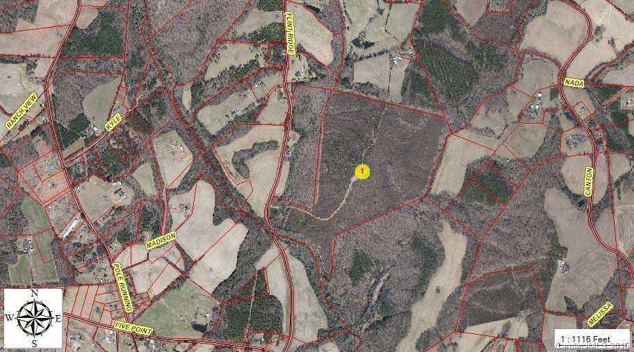 Beautiful 110+ acres, priced to sell today. Great estate opportunity. **Land has been leased for hunting; due to lease, prospective buyers must have permission to walk land due to safety concerns.