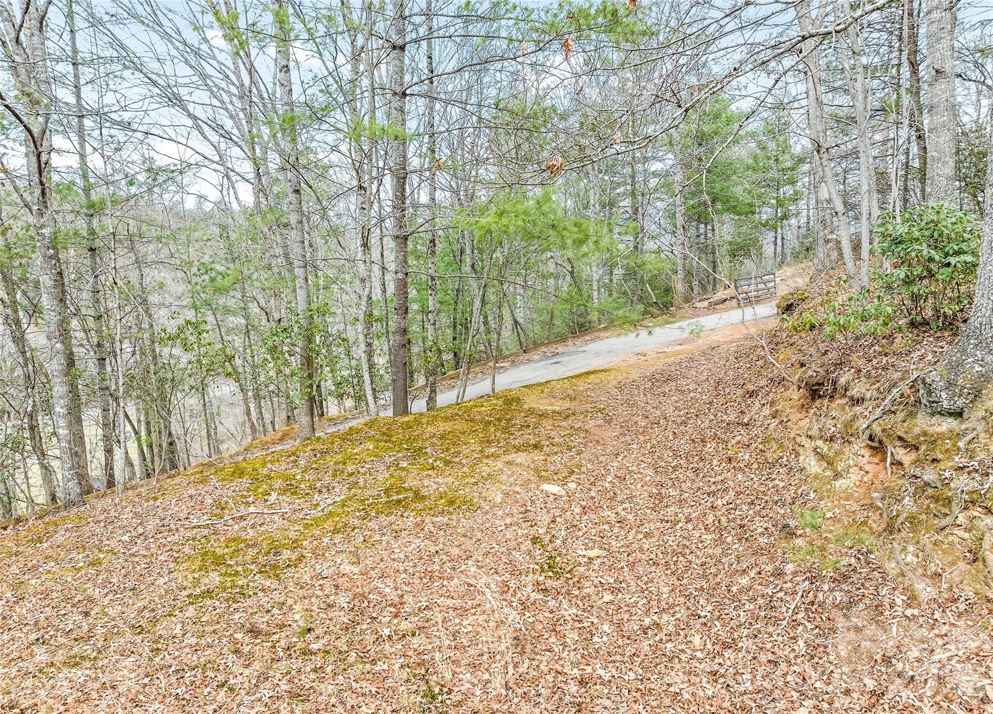 Mountain Laurel Estates - Residential