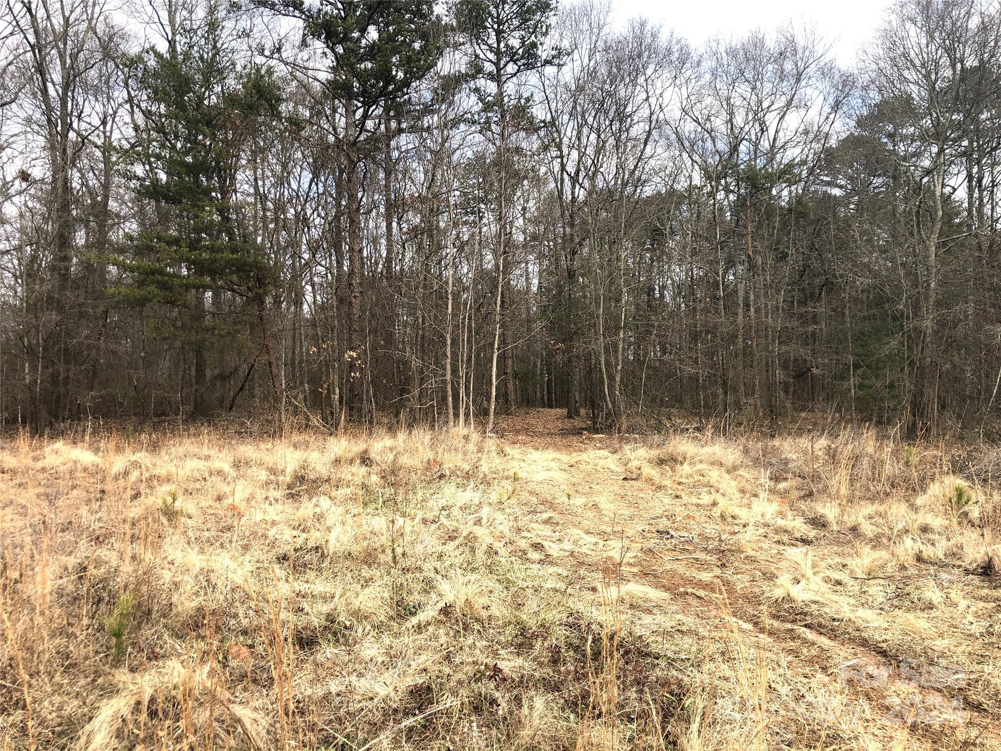 None - Land