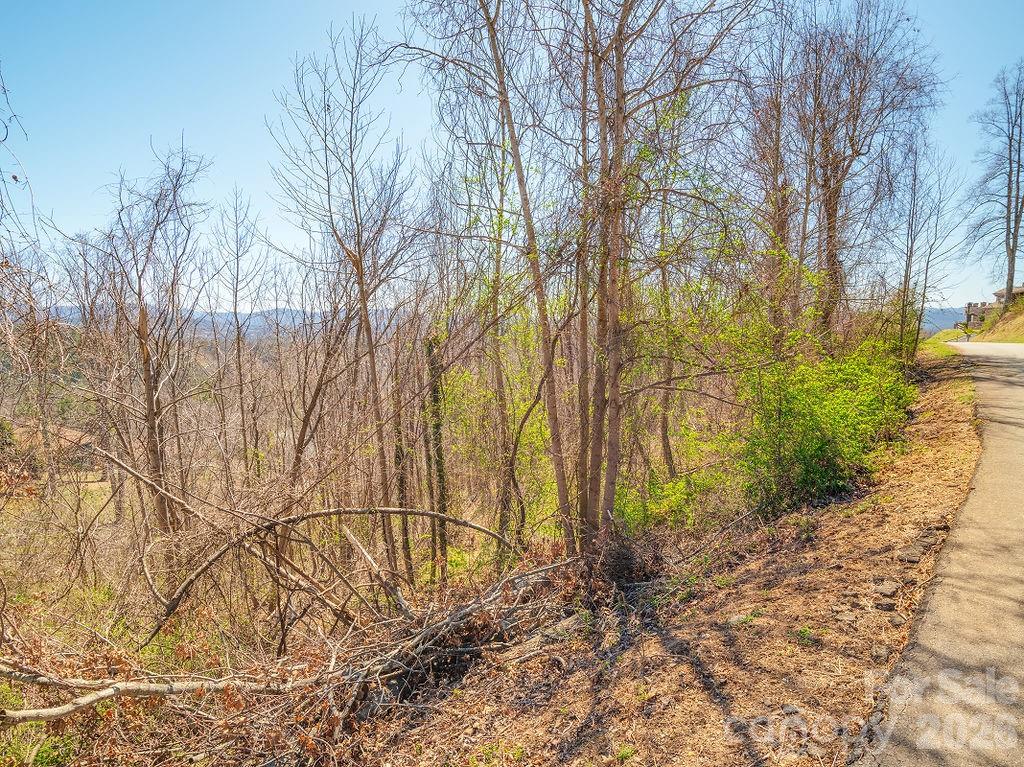 Crest Mountain - Land