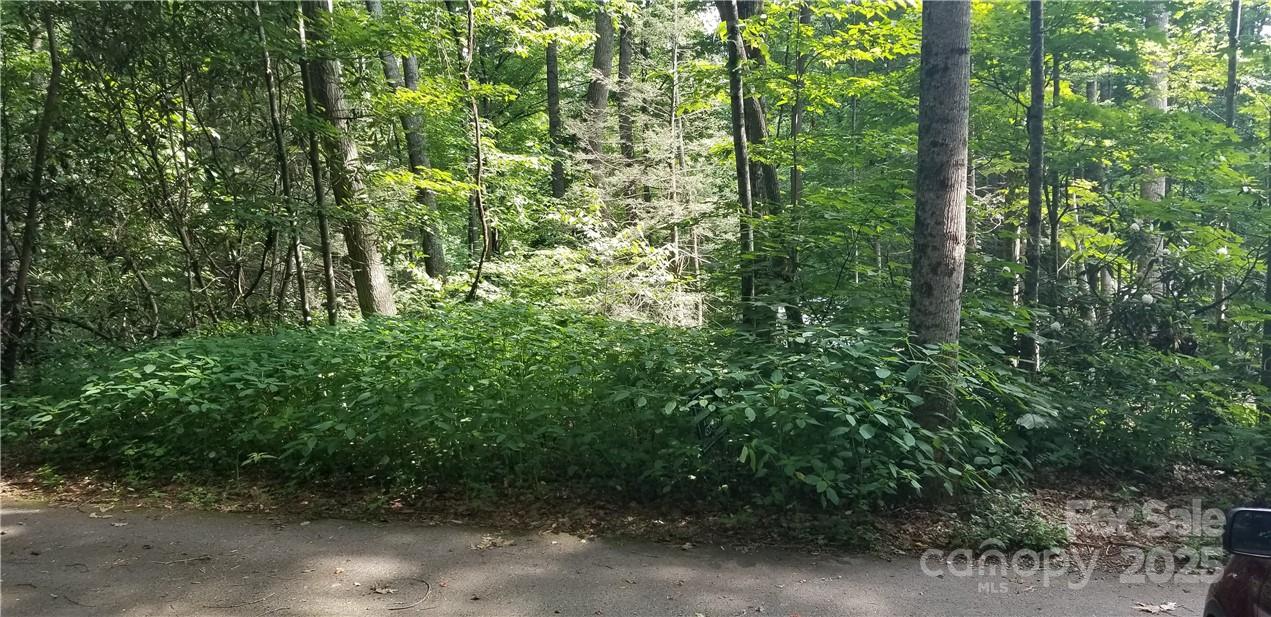 Spring Lake Estates - Land