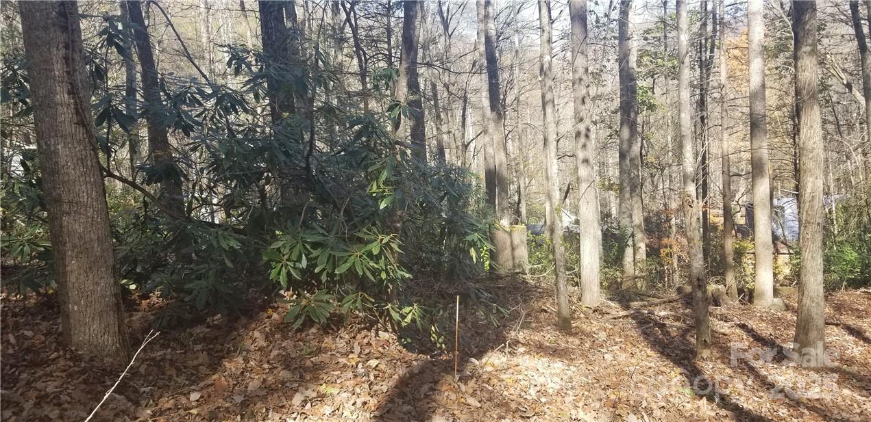 Spring Lake Estates - Land