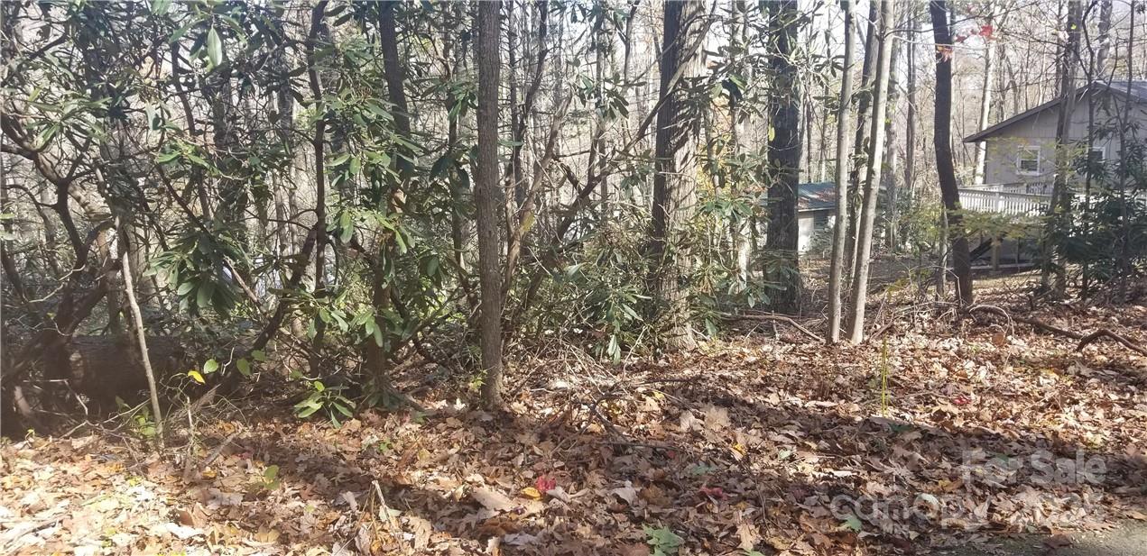 Spring Lake Estates - Land