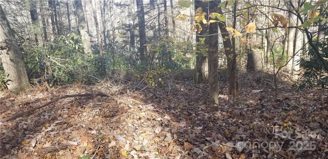 Spring Lake Estates - Land
