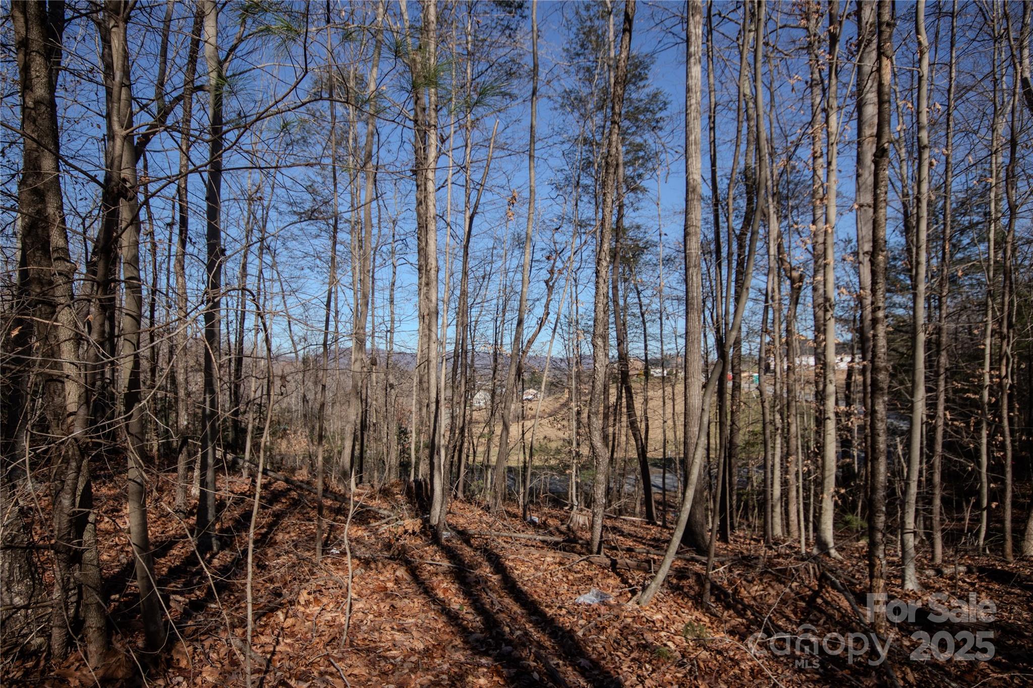 Huntington Woods North - Land