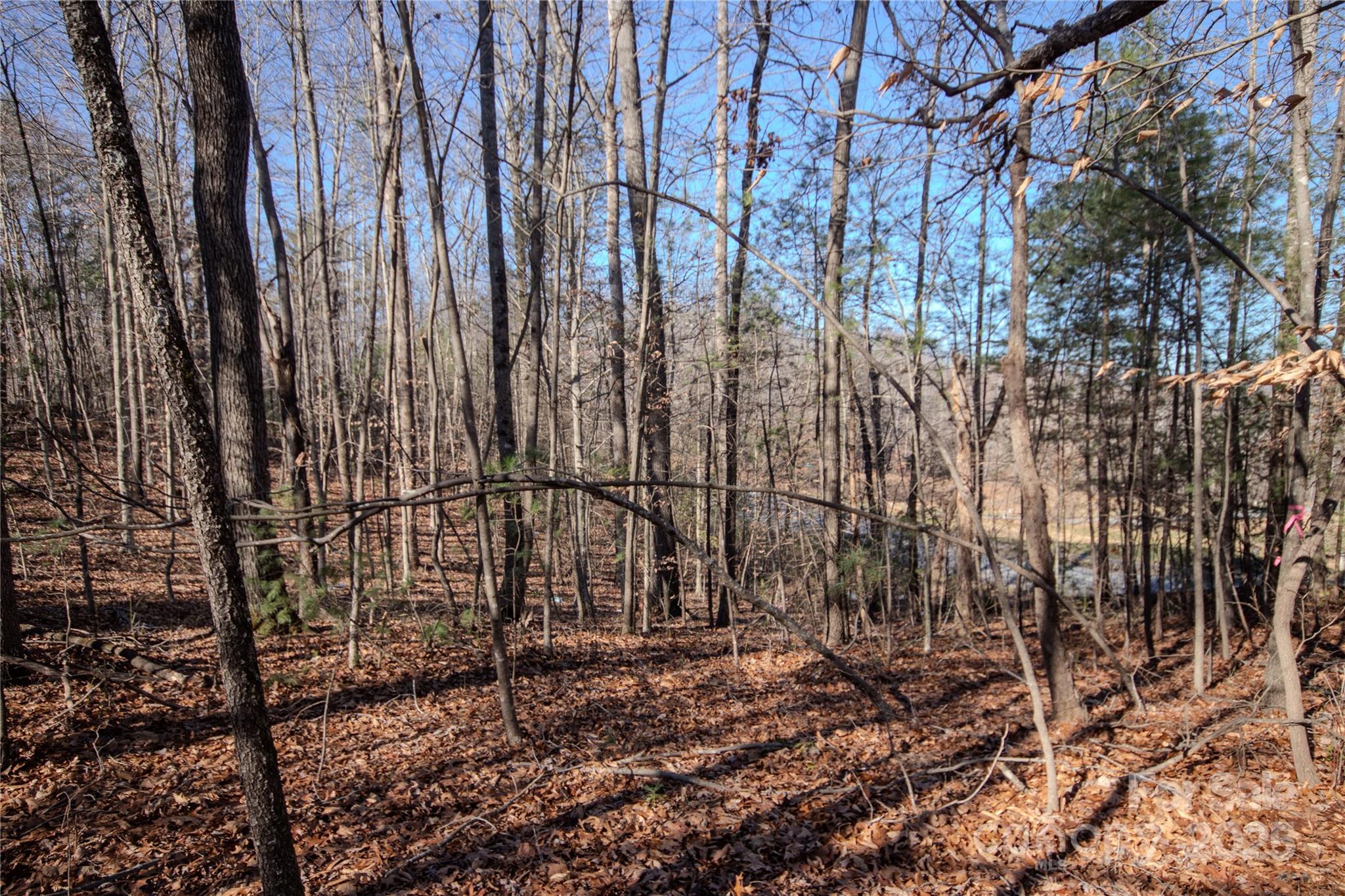 Huntington Woods North - Land