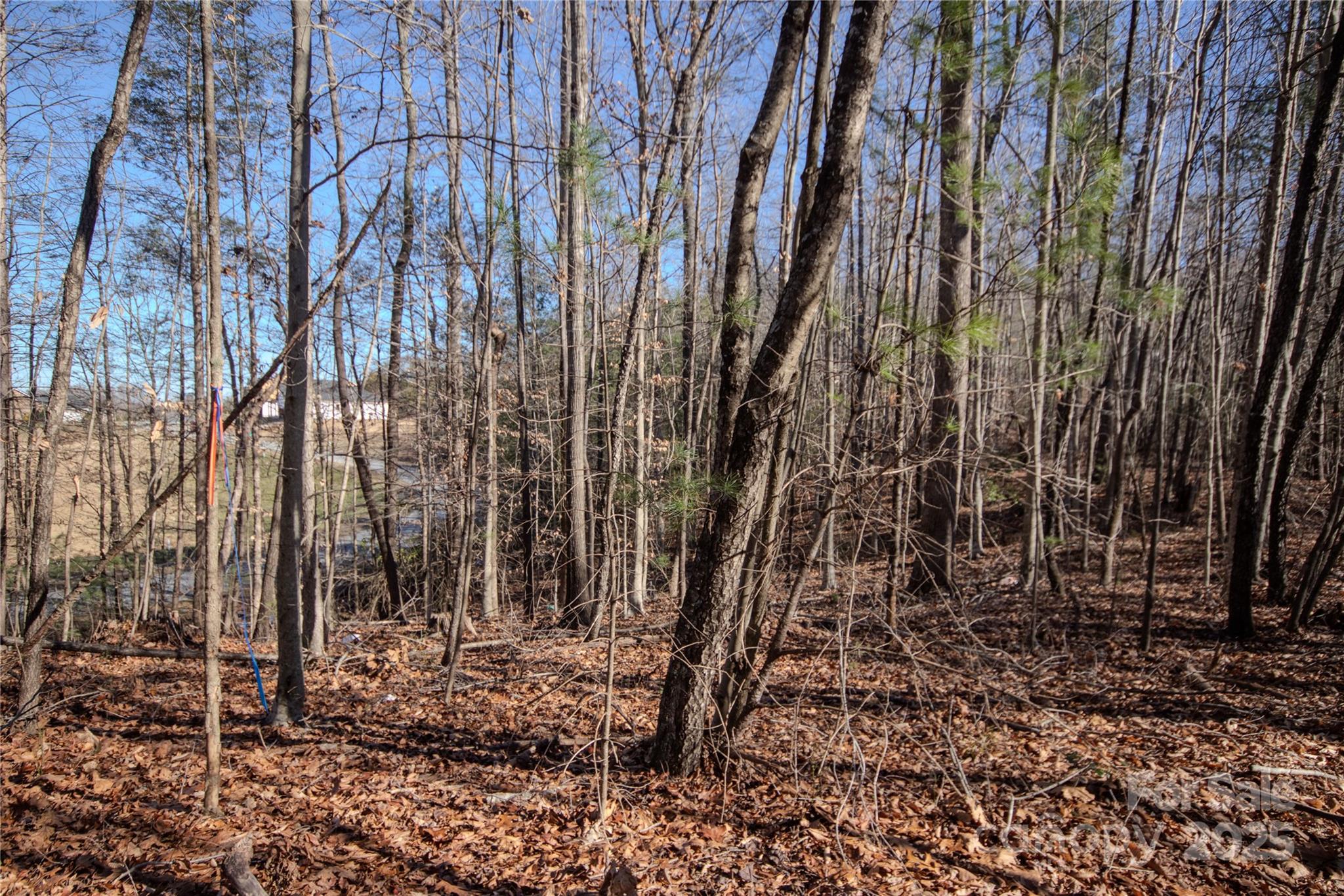 Huntington Woods North - Land