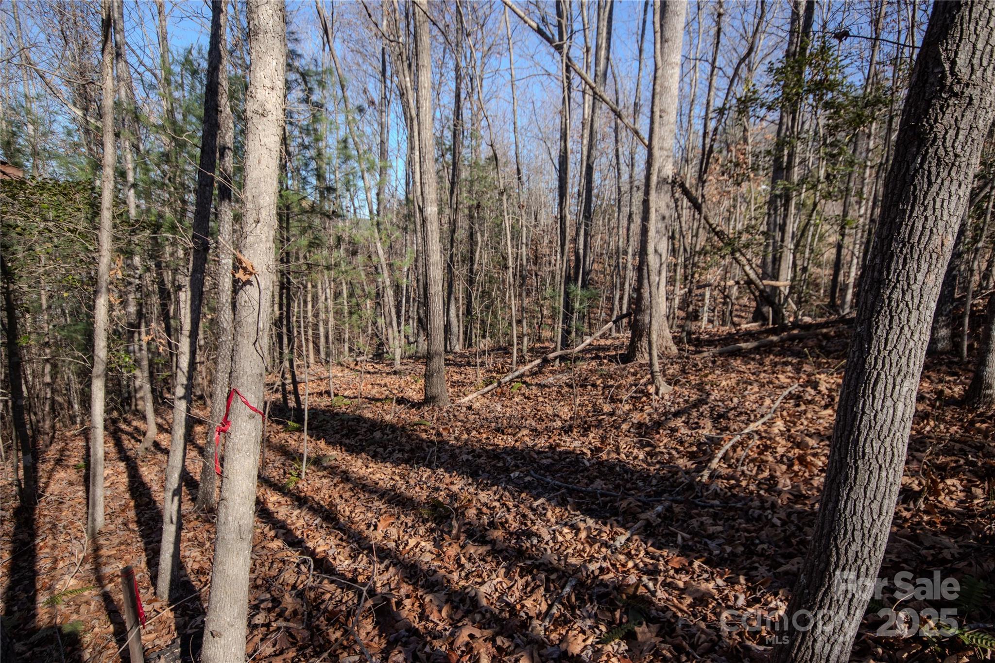 Huntington Woods North - Land