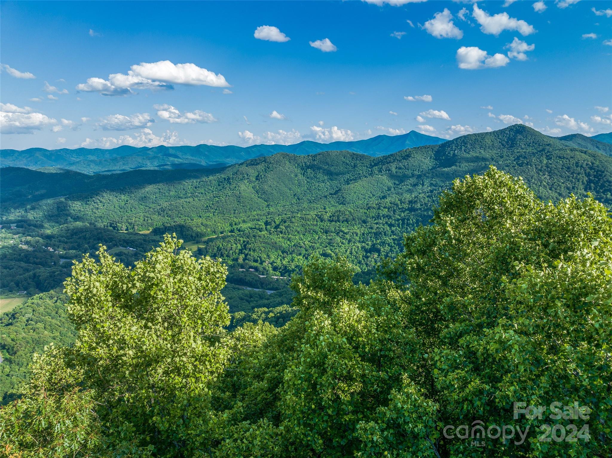 The Summit Of Asheville - Land