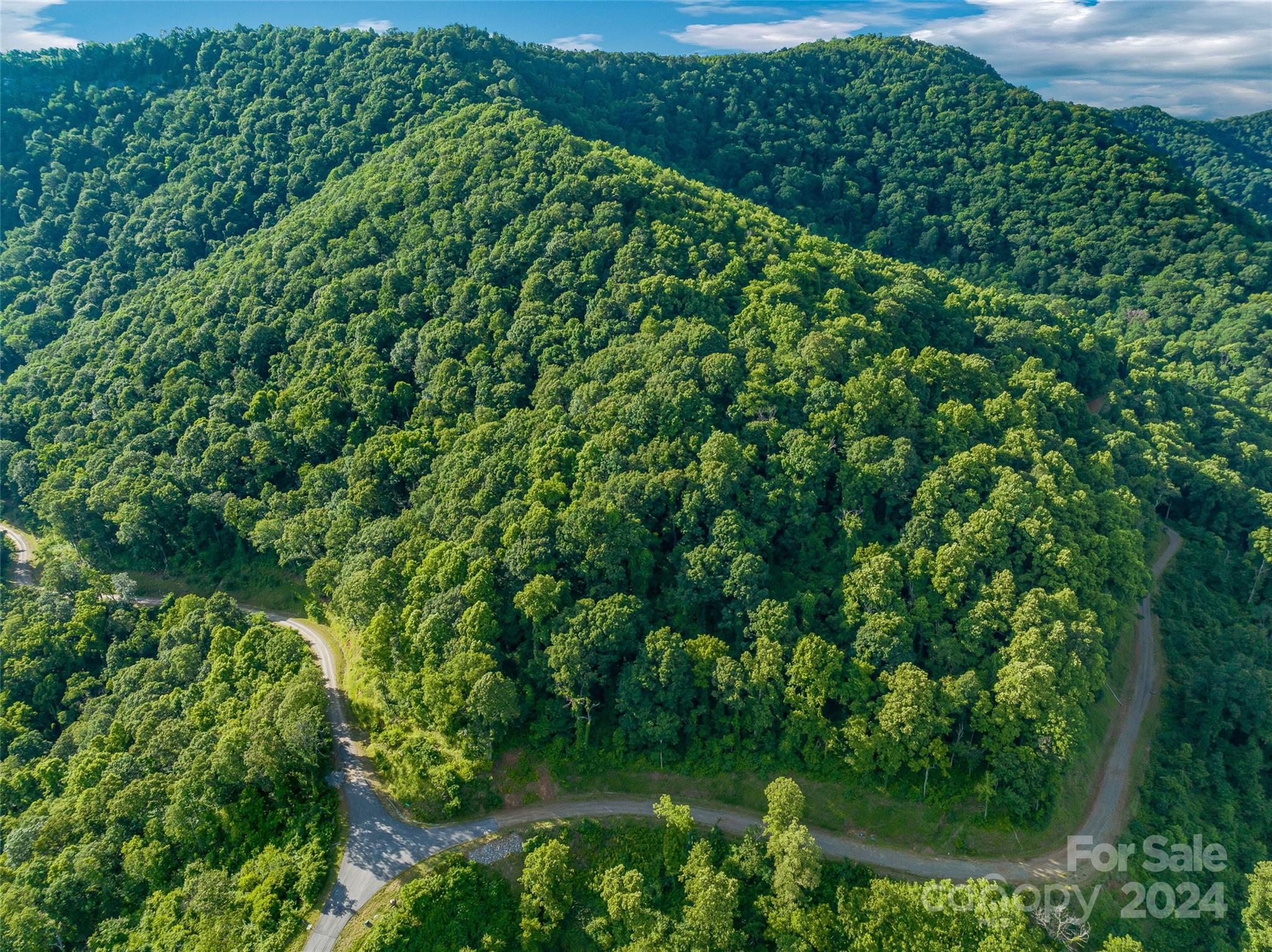 The Summit Of Asheville - Land