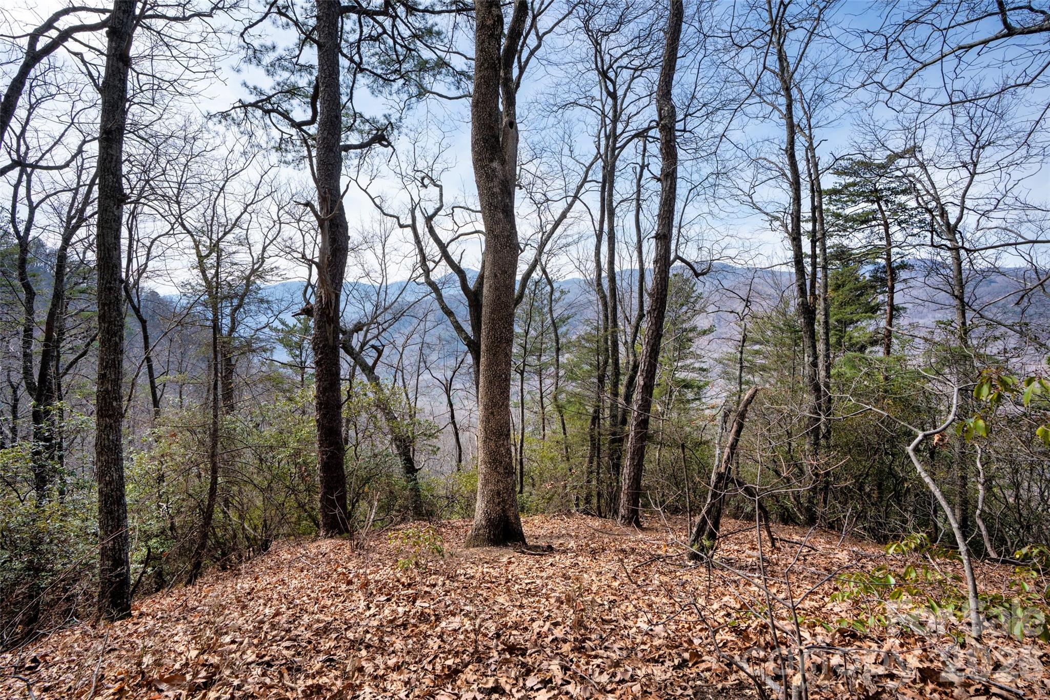 Riverbend Highlands - Land