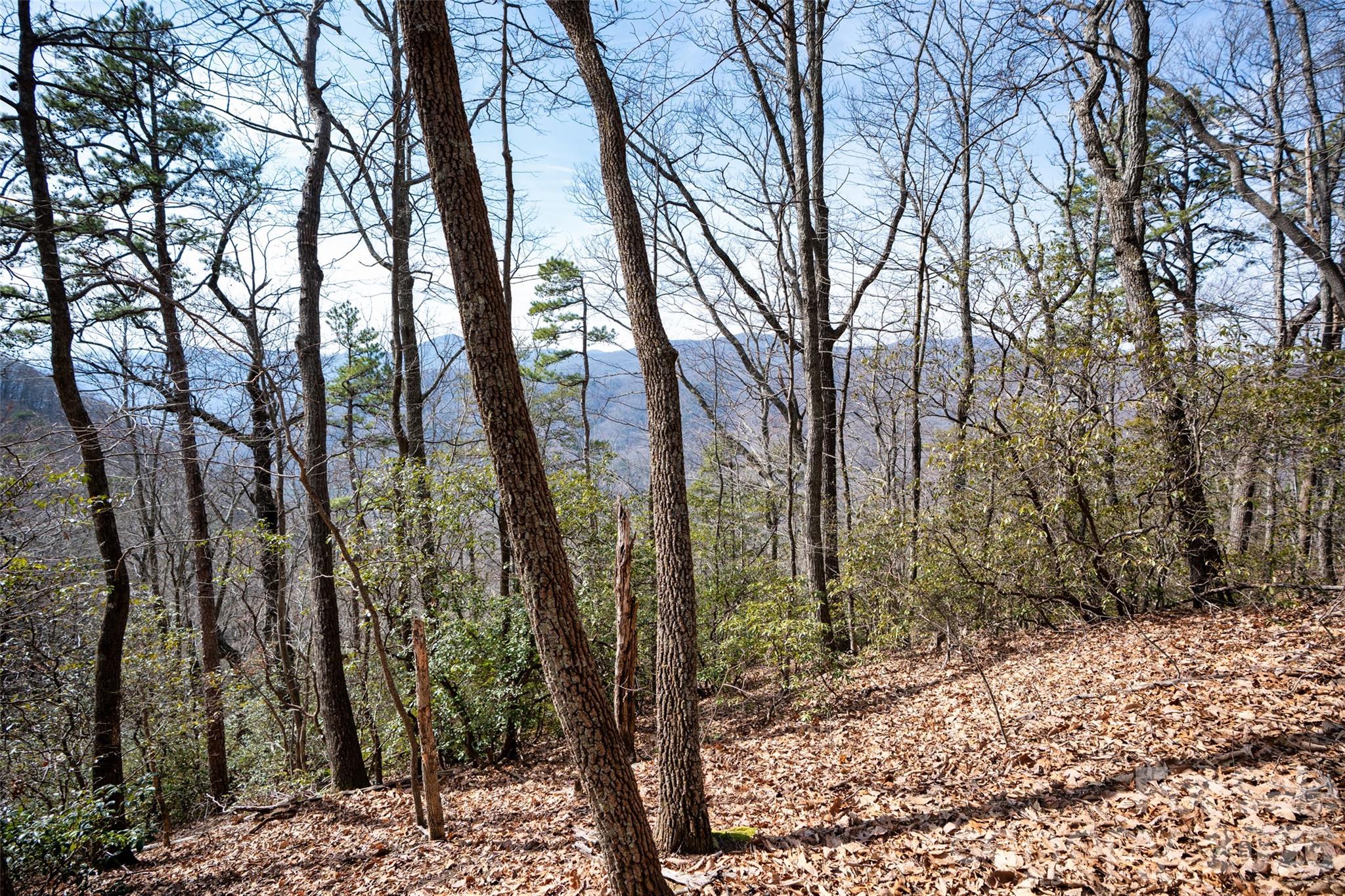 Riverbend Highlands - Land