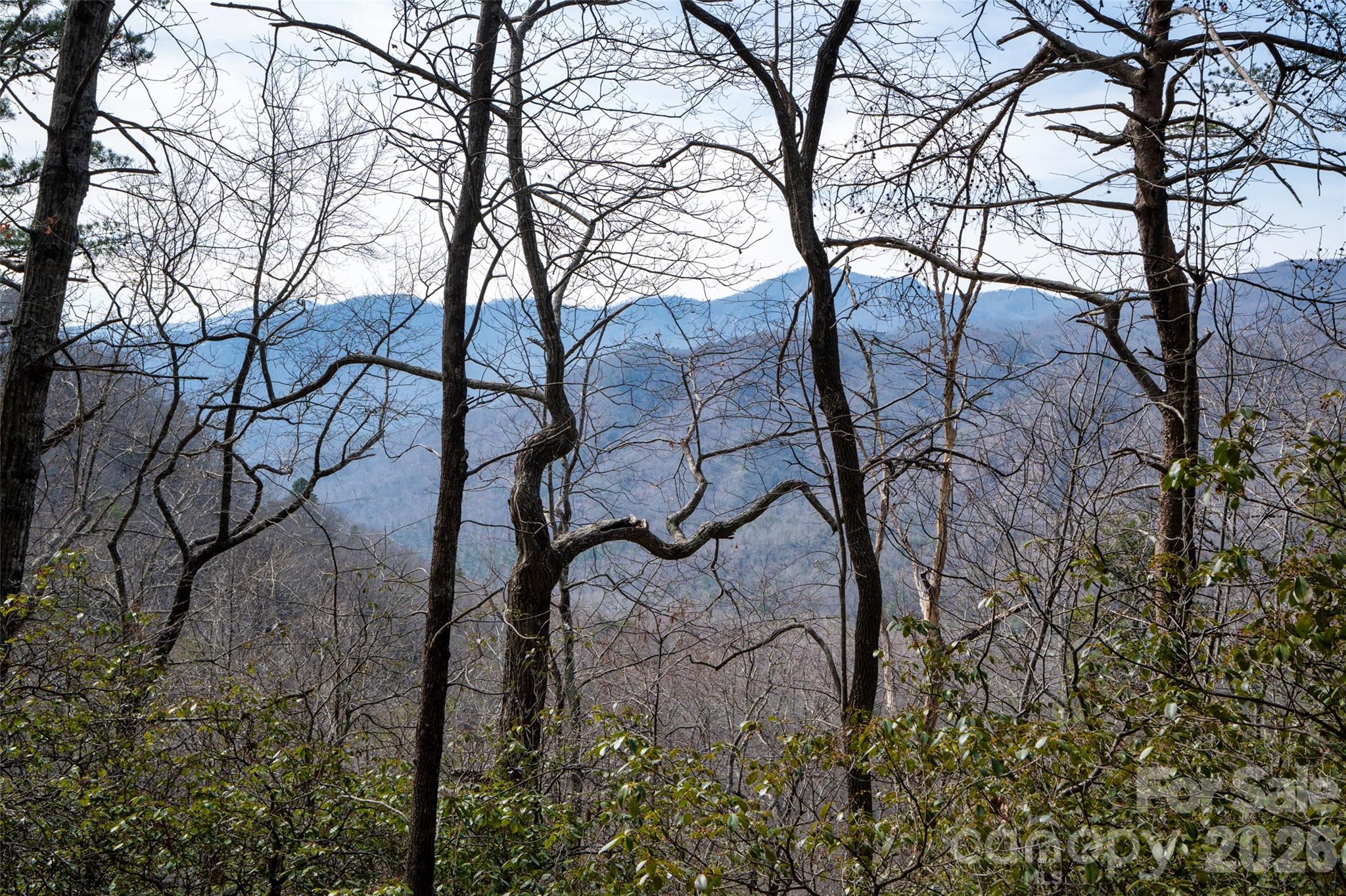 Long-range mountain views and incredible potential for sweeping 180 degree gorge views set the stage for this 12.52 acre retreat in Riverbend Highlands. Located at the end of a quiet cul-de-sac, lots 173 and 174 offer exceptional privacy and a peaceful, wooded setting that is ideal for those looking to create a true mountain getaway. With plenty of acreage as both lots are sold together, you’ll have the freedom to design your homesite to capture the surrounding views and natural beauty. Whether you're envisioning a full-time residence or a vacation escape, this property offers the perfect combination of privacy, scenery, and potential. Close to Rumbling Bald Resort that has two Championship Golf Courses, restaurants and other amenities but also nearby to Lake Lure and Chimney Rock that offer more outdoor recreational activities, boating, shops and restaurants. If you're searching for a place to unwind and take in the beauty of the mountains while being able to spend your days enjoying the various outdoor activities close by, then this is the lot for you! Priced to move, don’t miss this opportunity.