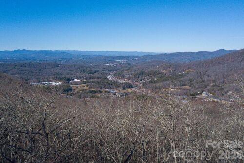 Chestnut Mountain - Land