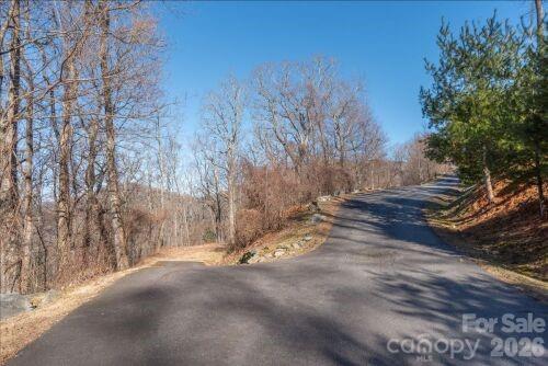 Chestnut Mountain - Land