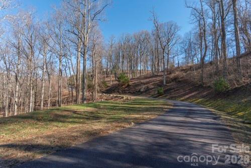 Chestnut Mountain - Land