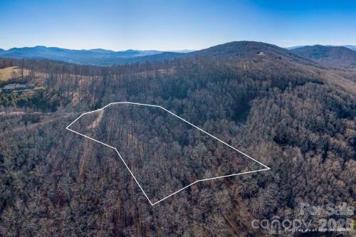 Chestnut Mountain - Land
