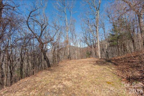 Chestnut Mountain - Land