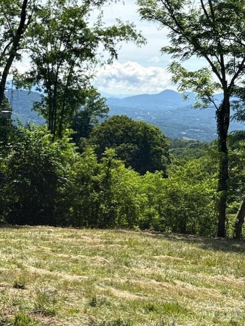 You can't miss this incredible Avalon lot! Lot 38 is a must see! It has an amazing long range
mountain view, flat building site, fantastic access, and close to our incredible timber frame
pavilion and community pond! You won't find many homesites on top of a mountain that lay this
nicely! Natural amenities through out this prestigious gated community! Wide paved roads, city
water, fiber optics, lots of green space, walking trails, community pond and a massive timber frame
pavilion whose timbers were harvested right here in our own back yard! Just minutes from downtown
Waynesville's charming shops, restaurants, and breweries. Avalon is a hidden gem!