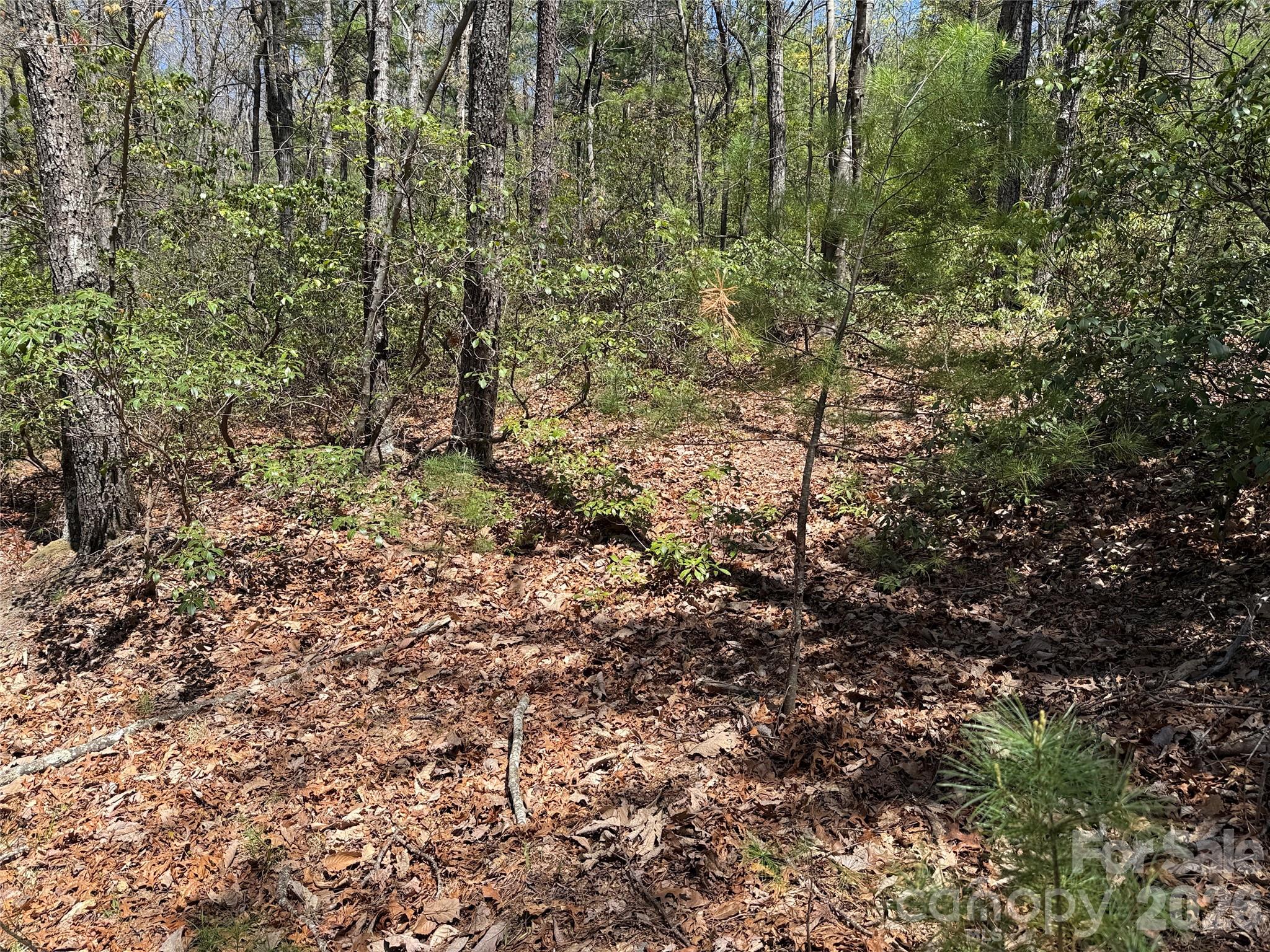 Buck Mountain - Land