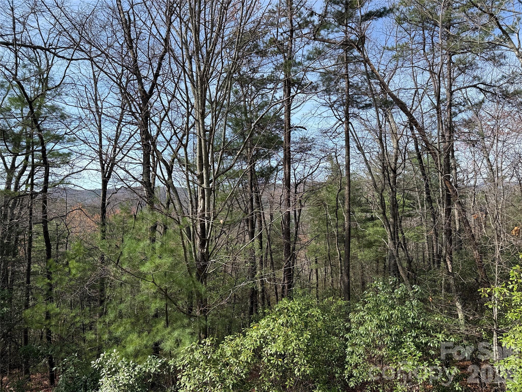 Buck Mountain - Land