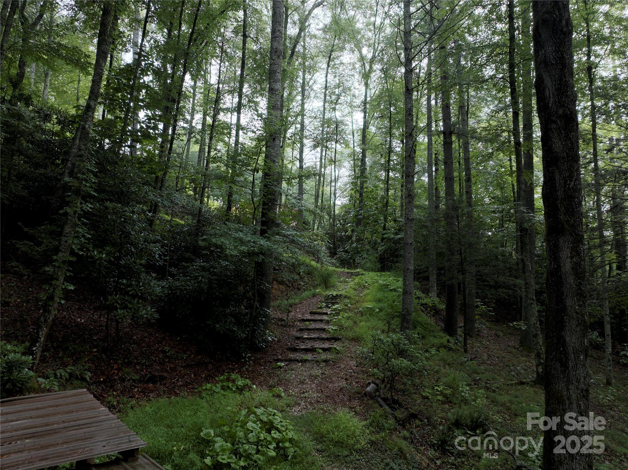 Wolf Ridge Estates - Land