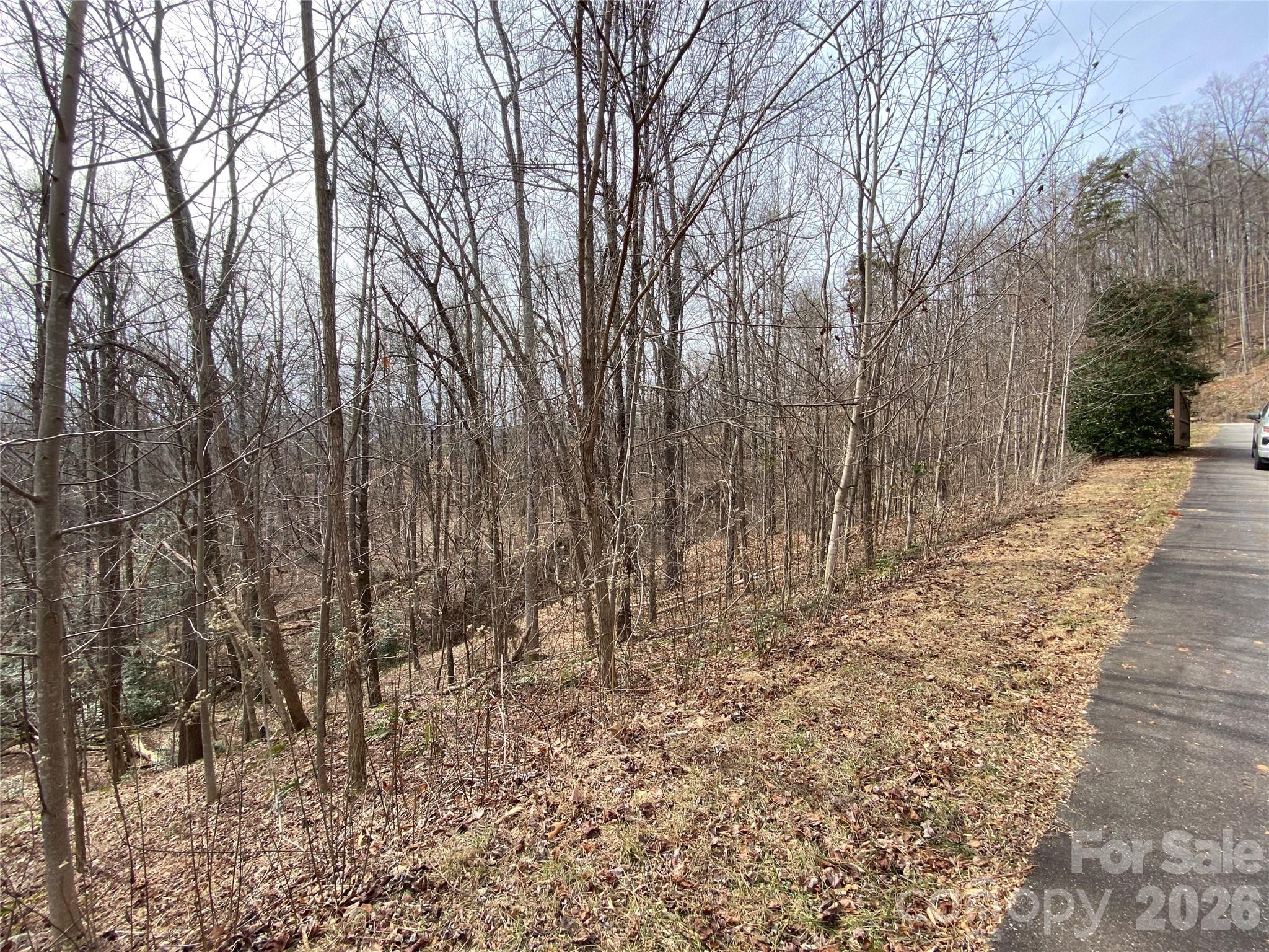 Blue Heron Point - Land