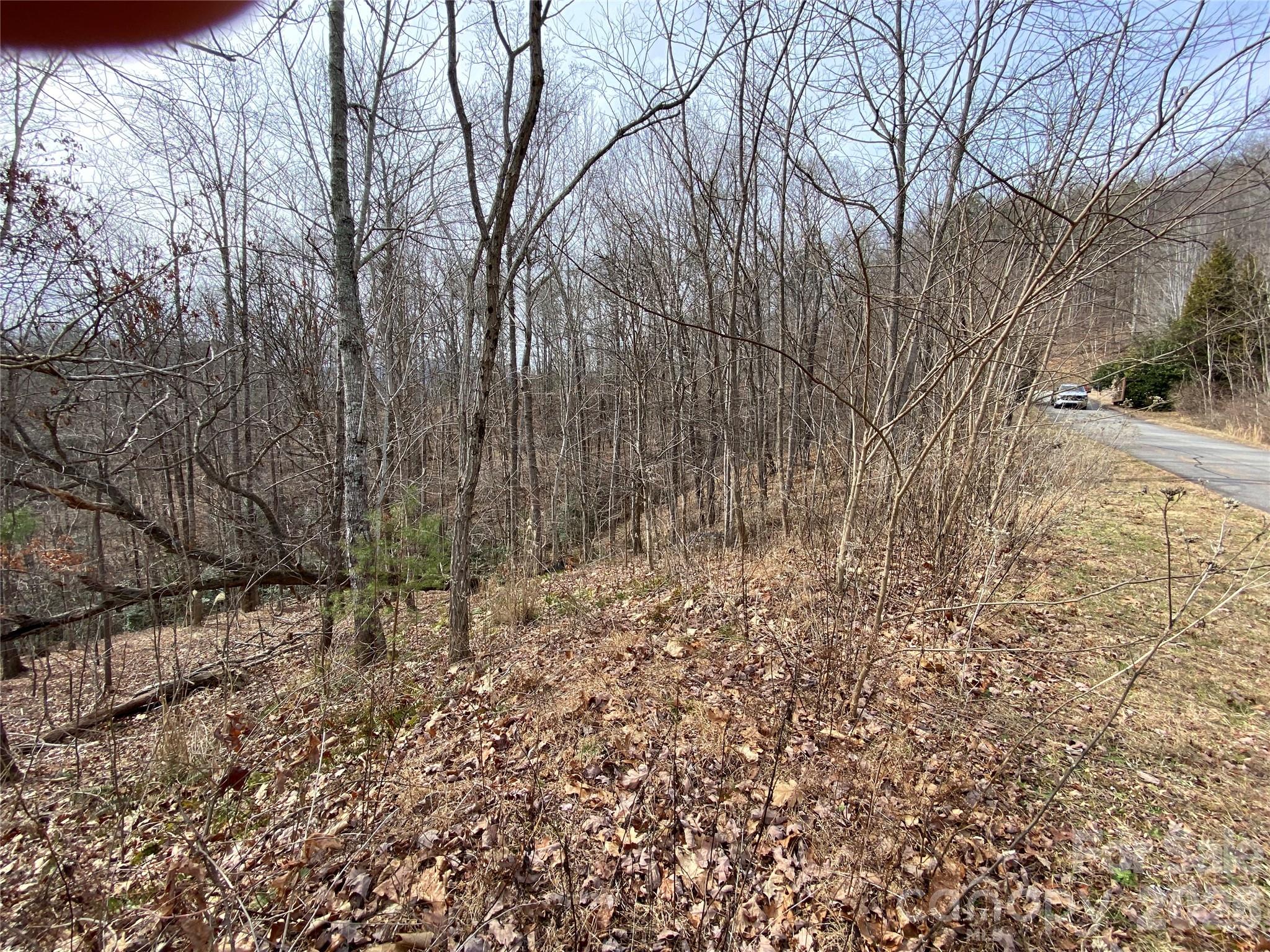 Blue Heron Point - Land