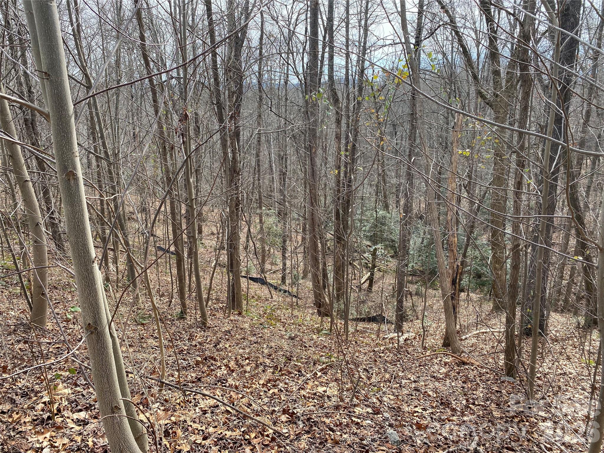 Blue Heron Point - Land