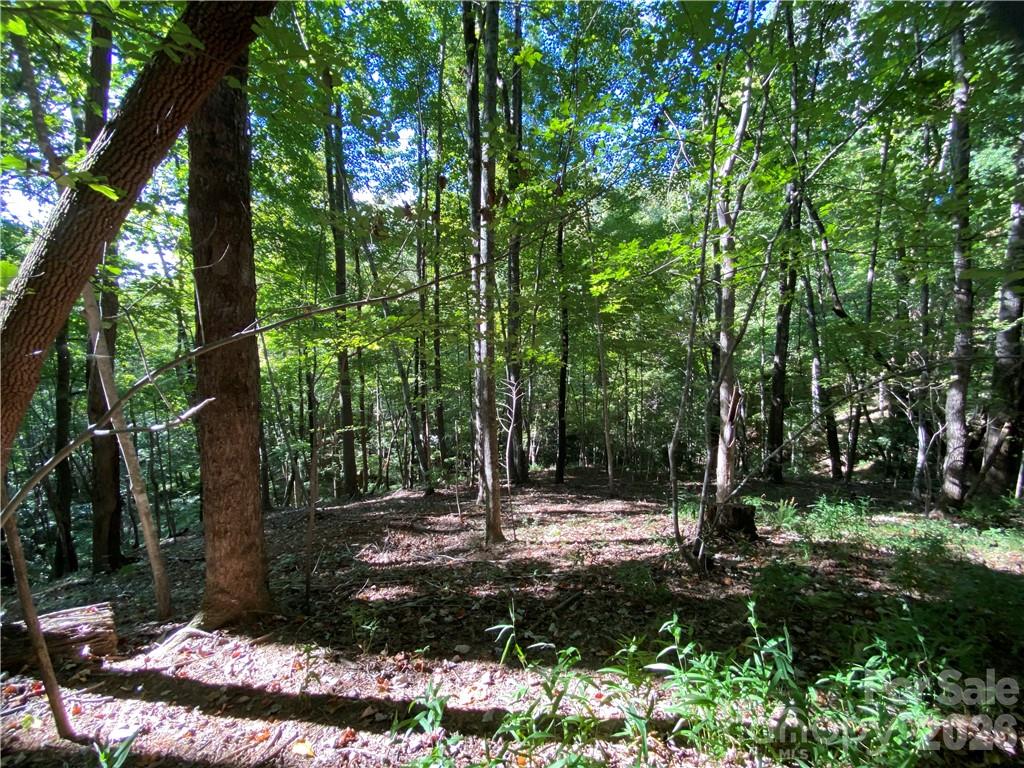 Blue Heron Point - Land