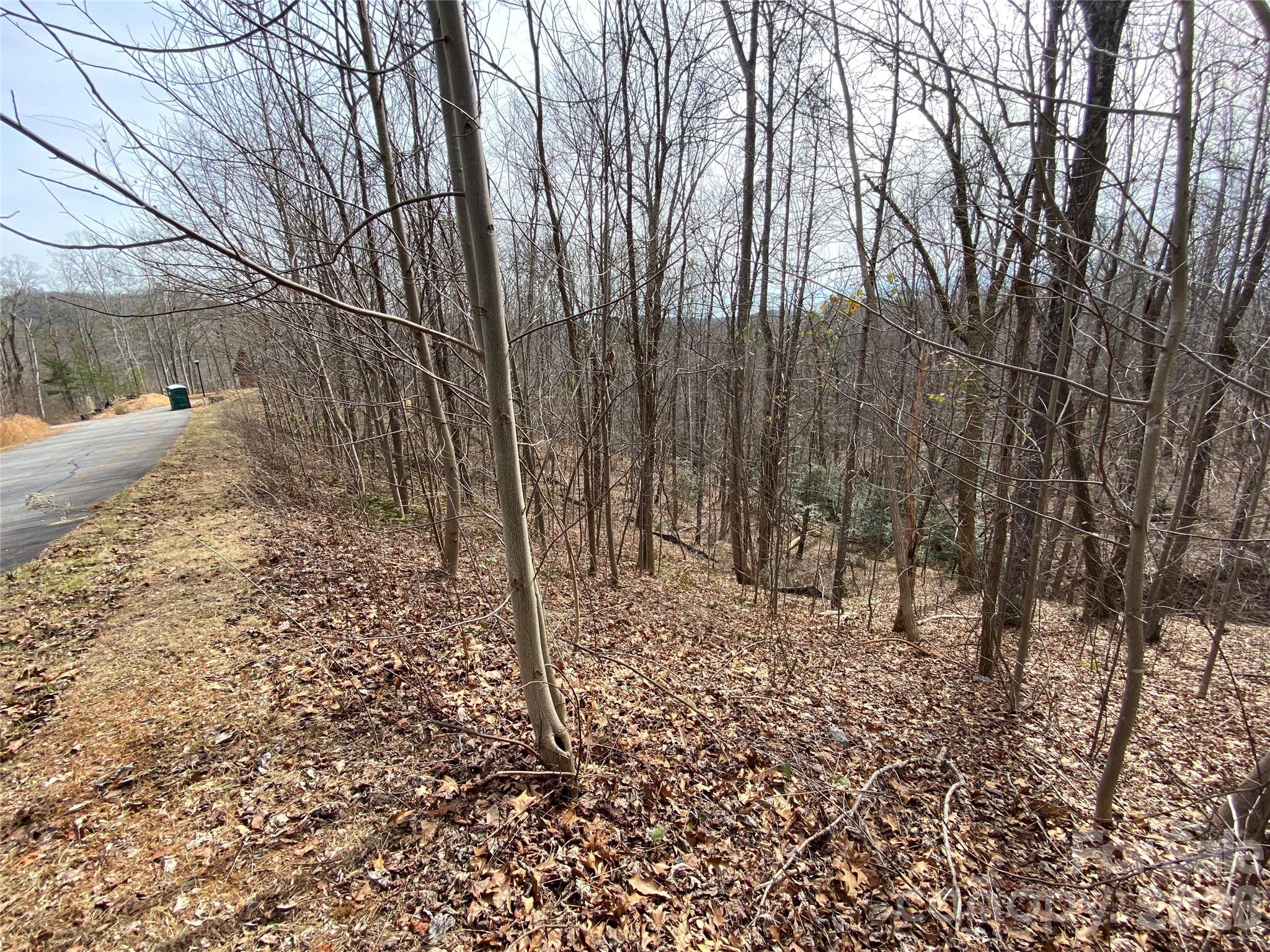 Blue Heron Point - Land