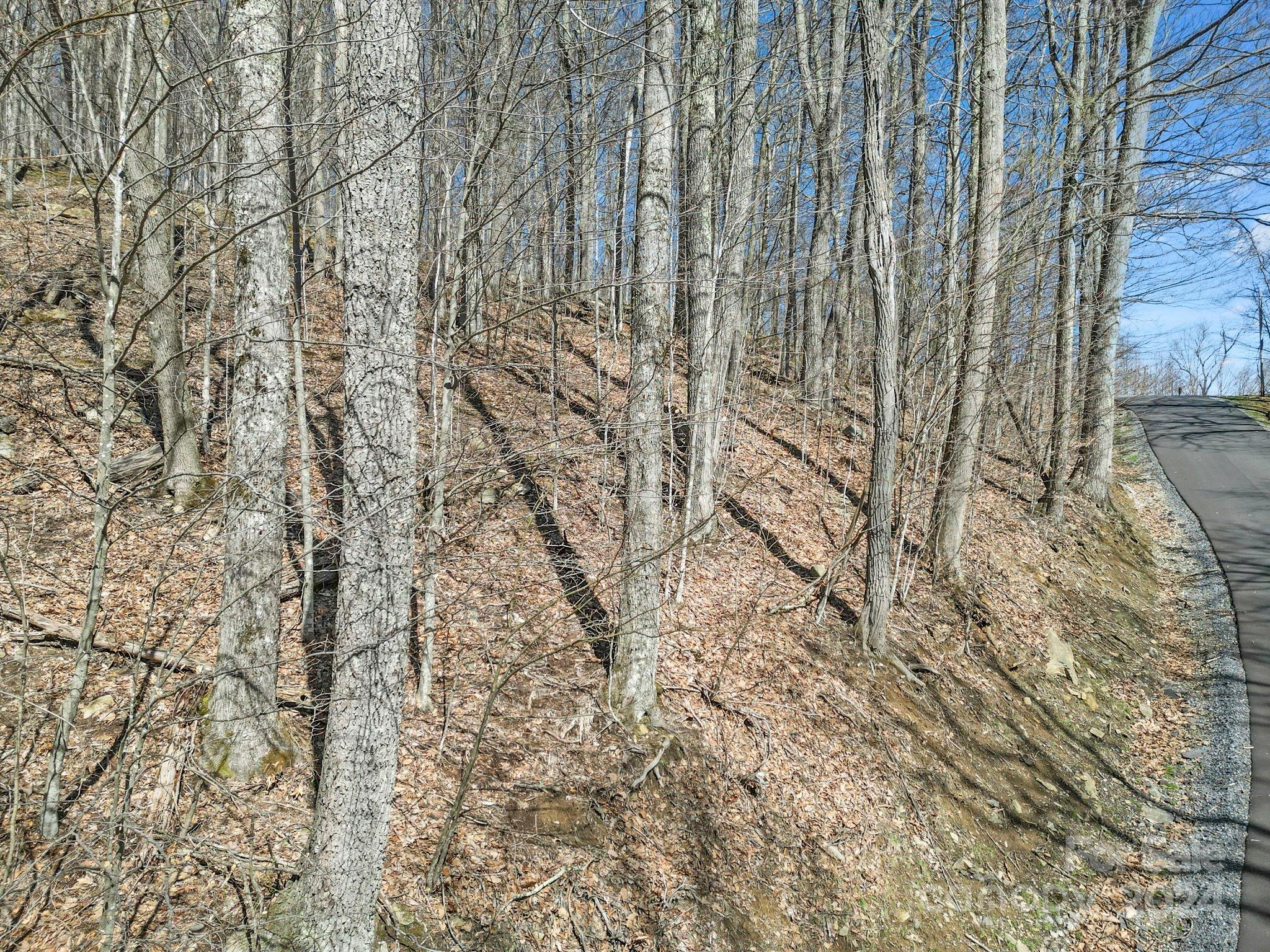 Wolf Laurel - Land