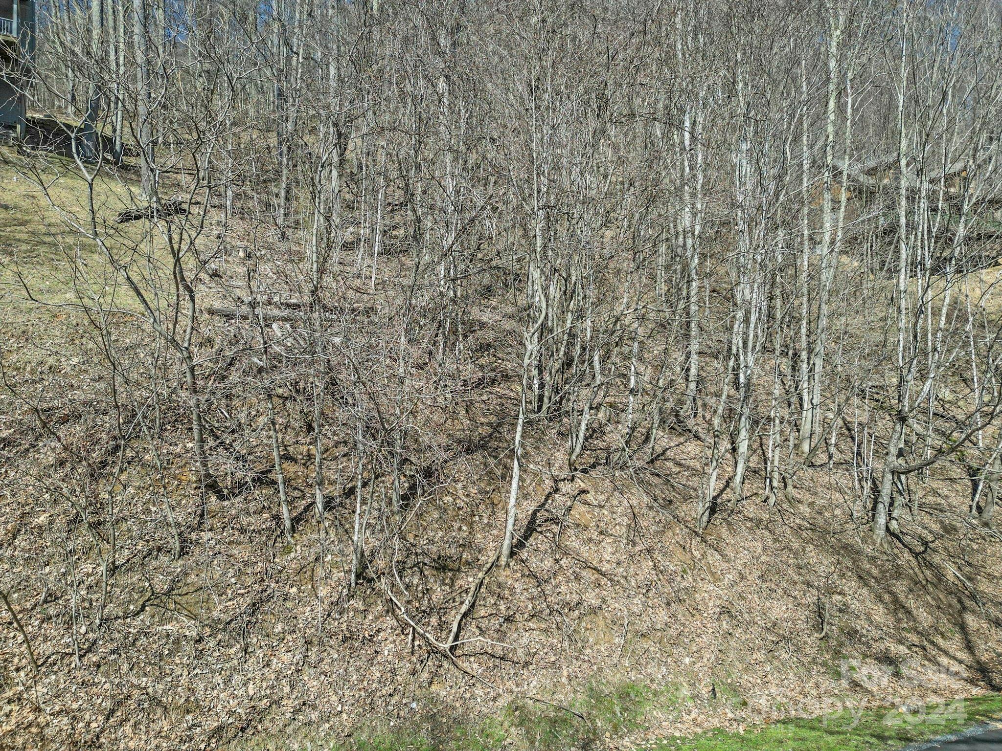 Wolf Laurel - Land