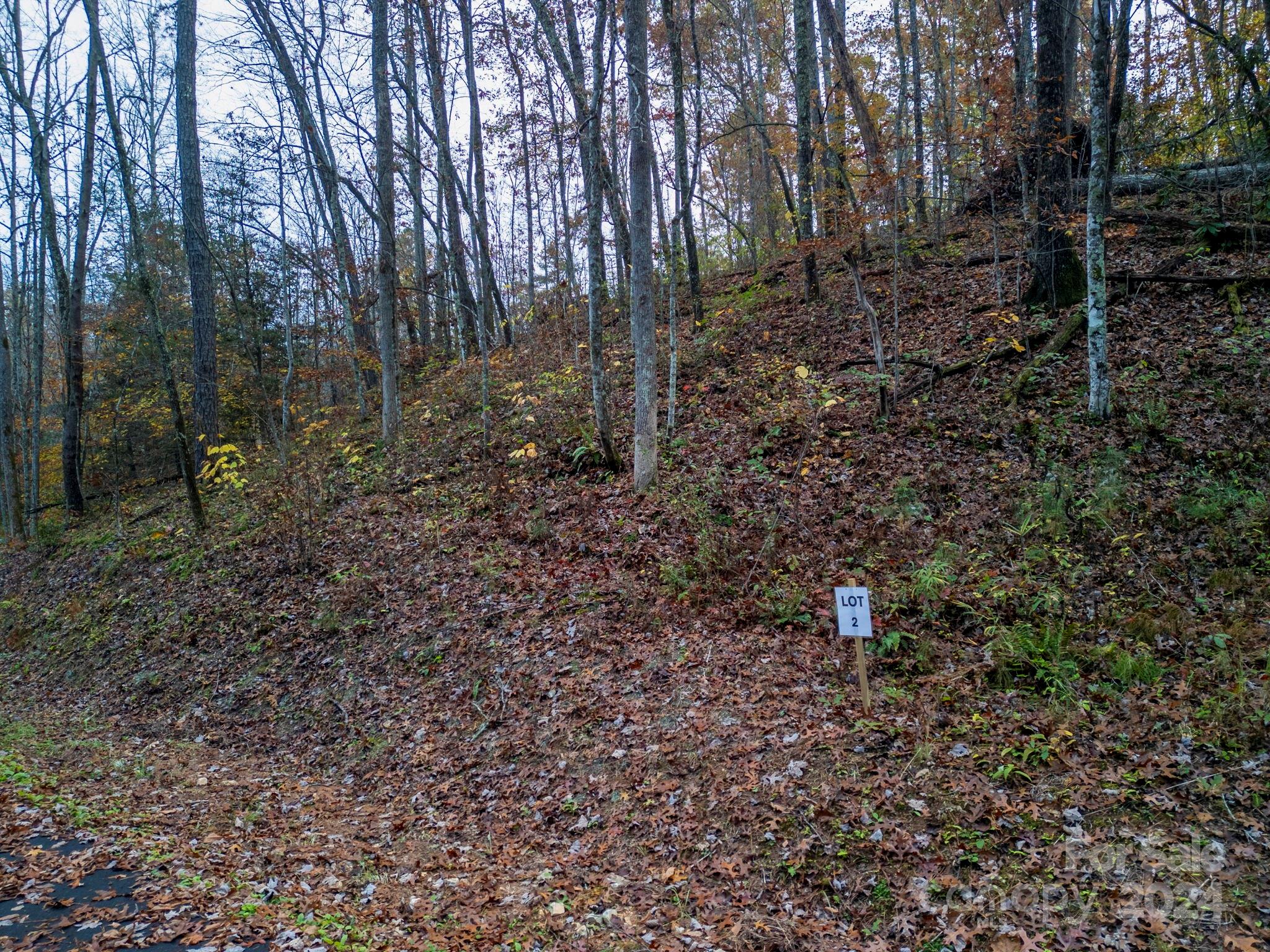 New and exciting opportunity for building in the Old Fort Community!  Be the first to build in the unspoiled richness of Cherry Cove Subdivision, located just a couple of miles from the town center of Old Fort!  This property is situated just along US Highway 70 W.  It is a wooded and private new area that offers so much! Minutes away from downtown Old Fort, Marion and Black Mountain, you will have quick and easy access to restaurants, breweries, shopping, hiking, kayaking, biking and so much more.  I-40 is also an easy access for longer trips to Hickory, Charlotte, Asheville and Tennessee.  This wooded corner lot is the 2nd lot on the left.  The rhododendrons and ferns on this property are so abundant, full and beautiful.  Come on and take a look and get started on your new home today!
