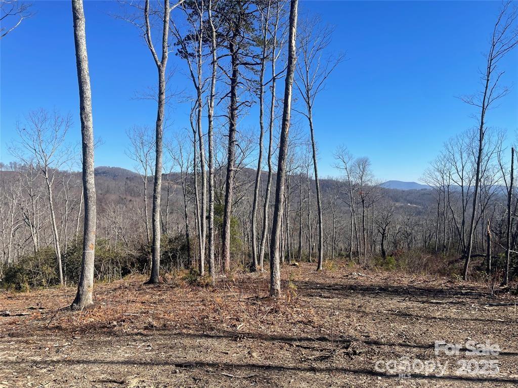 Surround yourself with nature; this beautiful homesite offers endless possibilities! Mountain views and 3.8 acres of relatively flat topography offer the ultimate mountain living experience—lower property lines back up the expansive Nature Preserve, wrapping the community. Couch Mountain offers an idyllic lifestyle. Residents can access two community gardens, a greenhouse, an apiary, and the impressive 138+-acre Nature Preserve. The preserve is a nature lover's paradise, featuring over 4 miles of hiking and biking trails. Situated between Hendersonville and Asheville, this location allows convenient access to the mountain towns' charm and beauty.