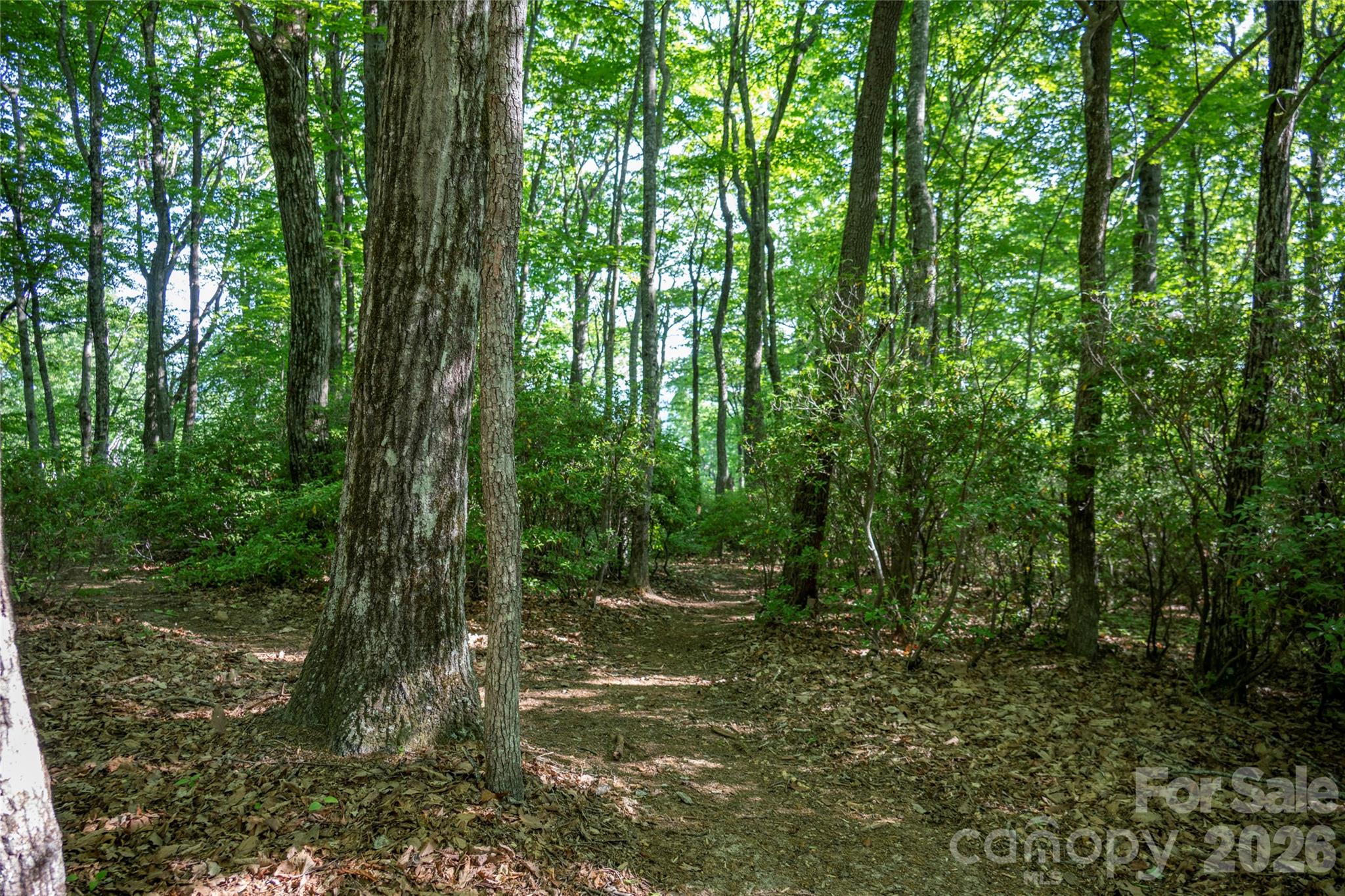 This lot is beautifully positioned on the first tier of Toxaway Mountain, just three minutes from the Lake Toxaway Country Club and Lake Toxaway marina. This exceptional homesite offers stunning year-round views of Panther Tail and Cold Mountain, with a desirable northern exposure that keeps summer afternoons cool and comfortable — the perfect setting to relax on your deck and enjoy sunset cocktails. The building site is remarkably flat and surrounded by beautiful hardwoods, providing both ease of construction and natural beauty. Offered at $185,000, this is a great value in Lake Toxaway Estates.