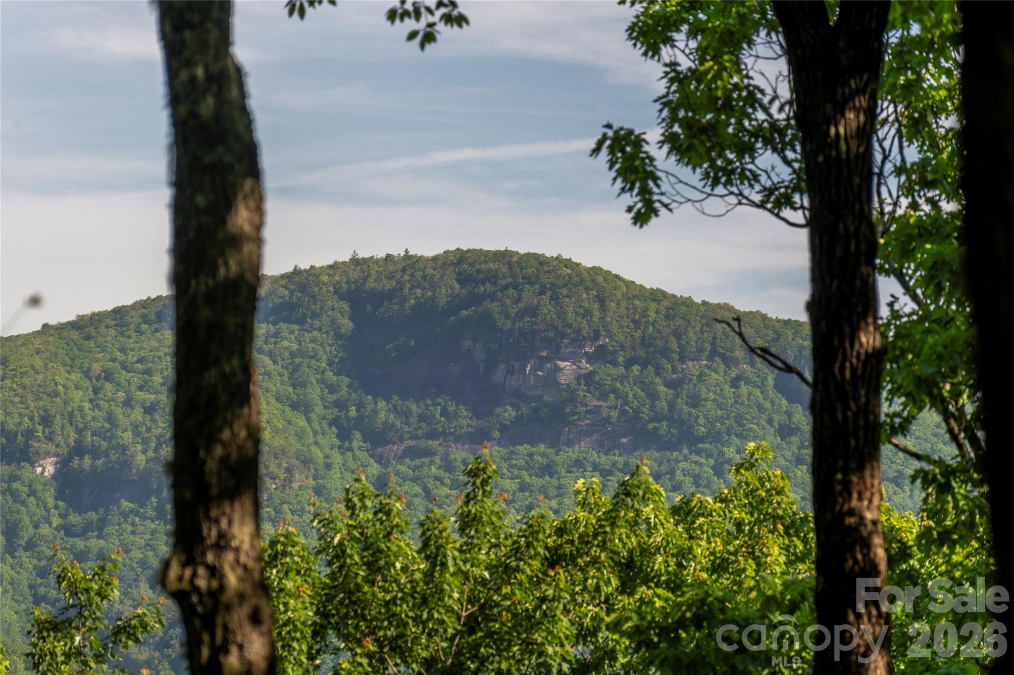 Lake Toxaway Estates - Land