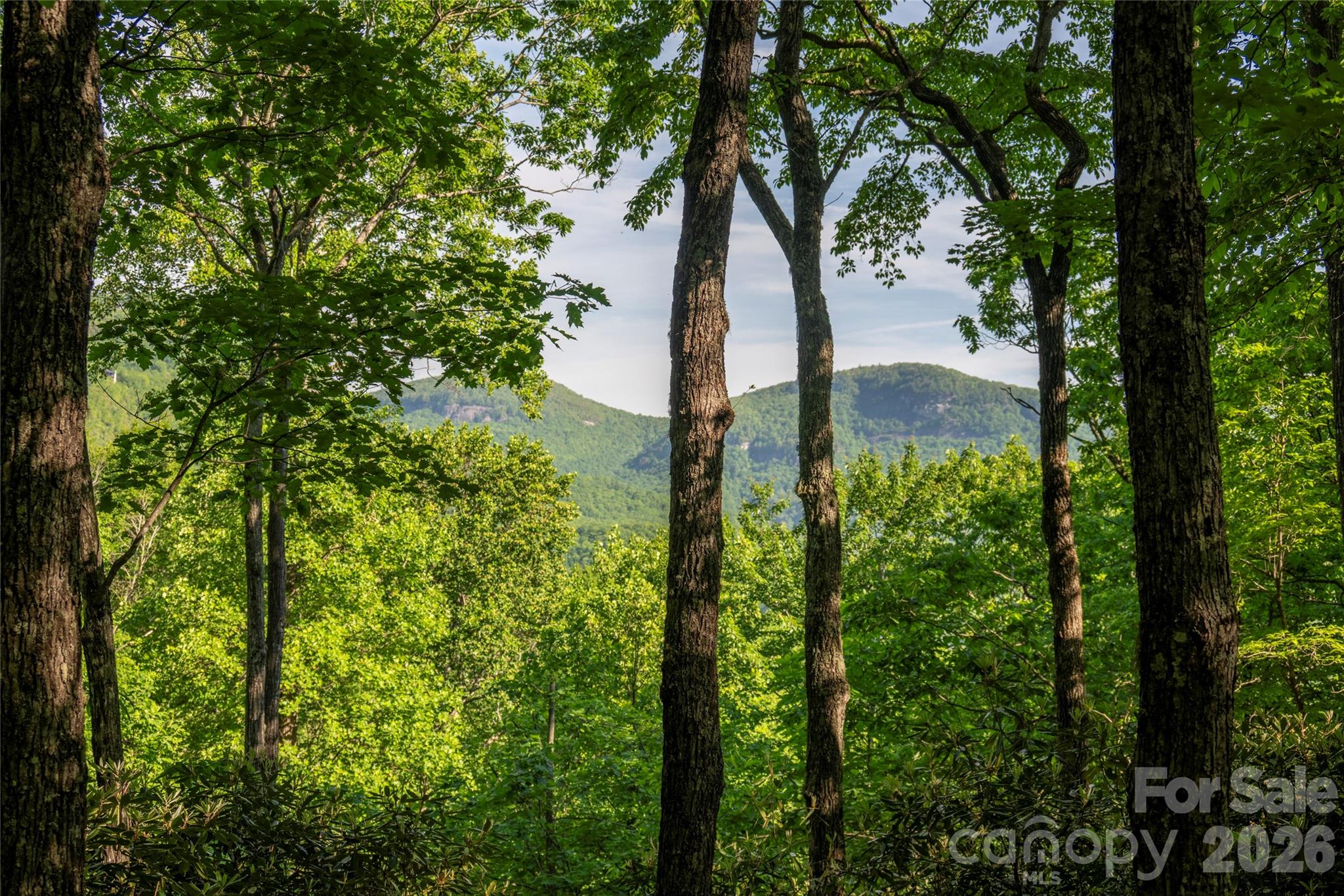 Lake Toxaway Estates - Land