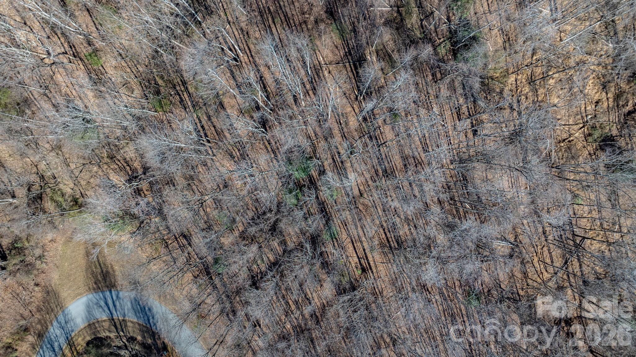 The Coves Mountain River Club - Land