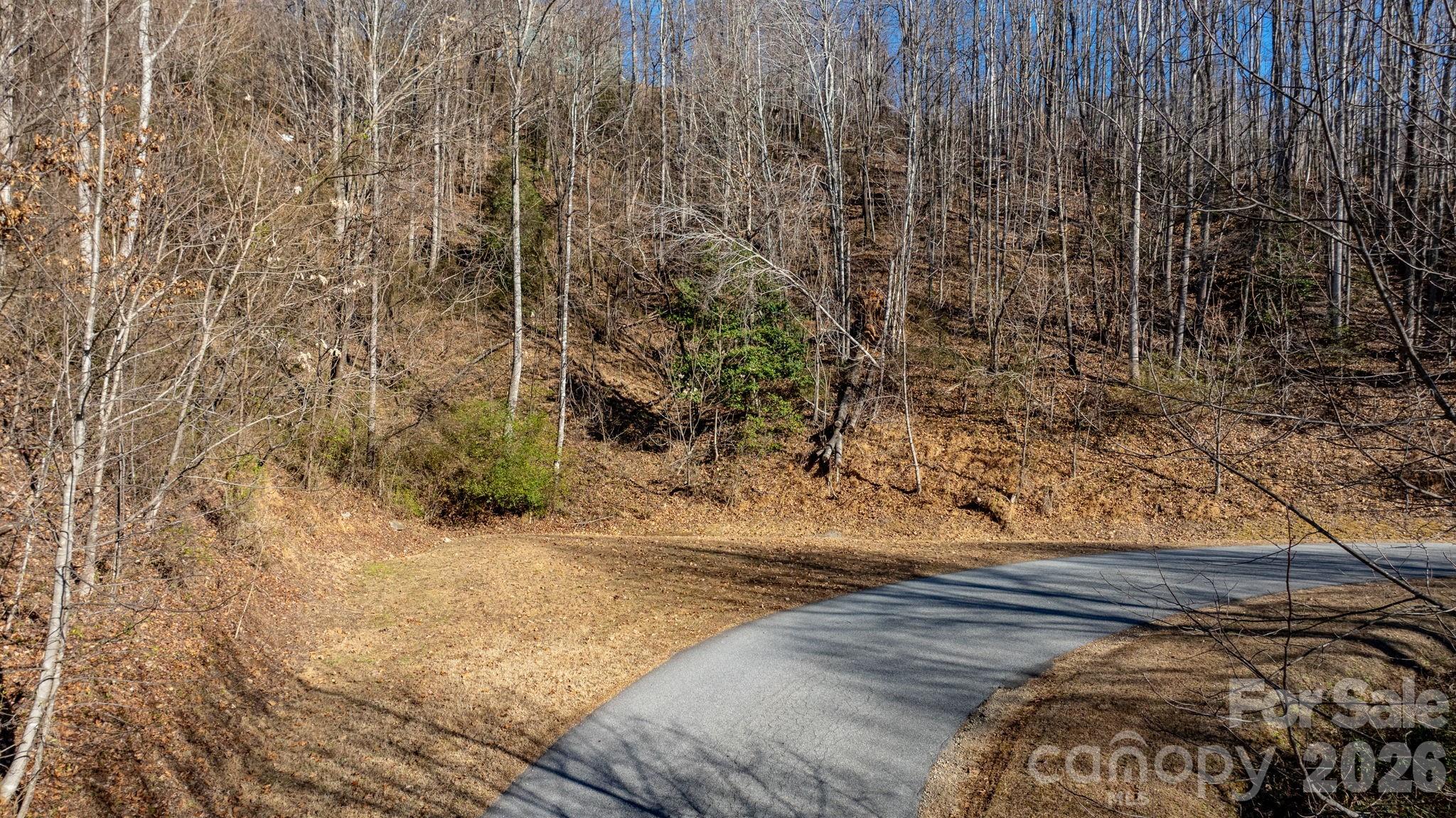 Escape to the beauty and peace of The Coves Mountain River Club with this stunning 2 acre vacant land listing. Located in a quiet, scenic area, this property is perfect for building your dream home, or a weekend getaway. The coves offer a rare combination of natural beauty, peace, and year round outdoor living. The community spans over 3,300 acres. Residents can enjoy many amenities such as The Lodge at the Coves, a clubhouse that sits atop the Mountain with a saltwater pool, fitness center, game room, and views of the thousands of untouched acres in a protected national forest that will never be developed. Other amenities include Johns River Frontage, for kayaking and fishing, Equestrian Center & Horse facilities, Community vineyards, gardens, and dog park, UTV trails, hiking paths, and picnic areas. All of these amazing things inside of a secure gated community. The lot is sloped atop the mountain facing acres and acres of undeveloped land creating an amazing view for you to wake up to for years to come. *Minimum square footage depends on factors, see restrictions.*