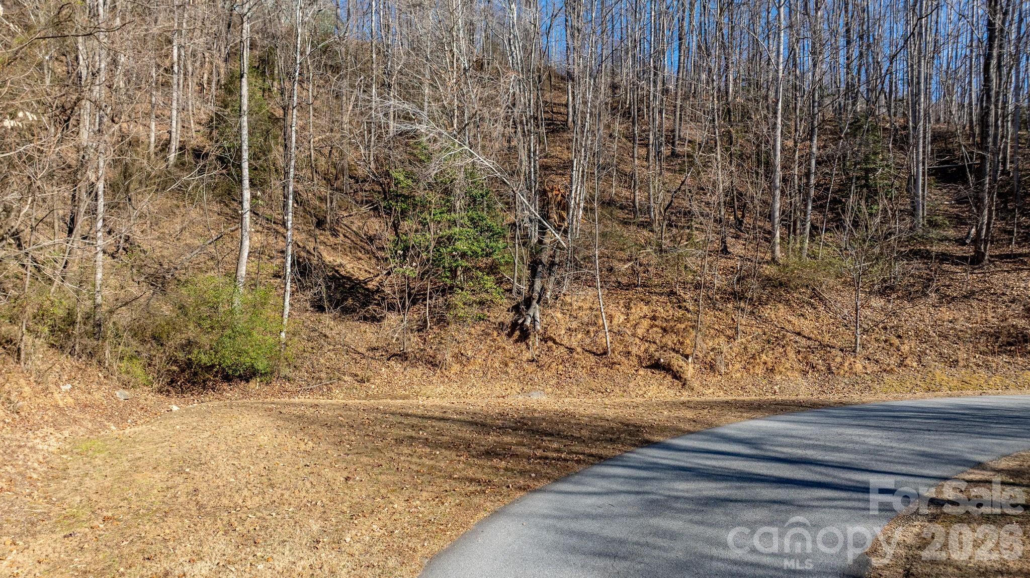 The Coves Mountain River Club - Land
