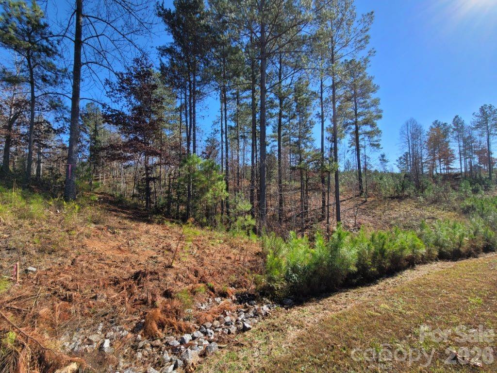 Island Pointe at Lake Vistas - Land