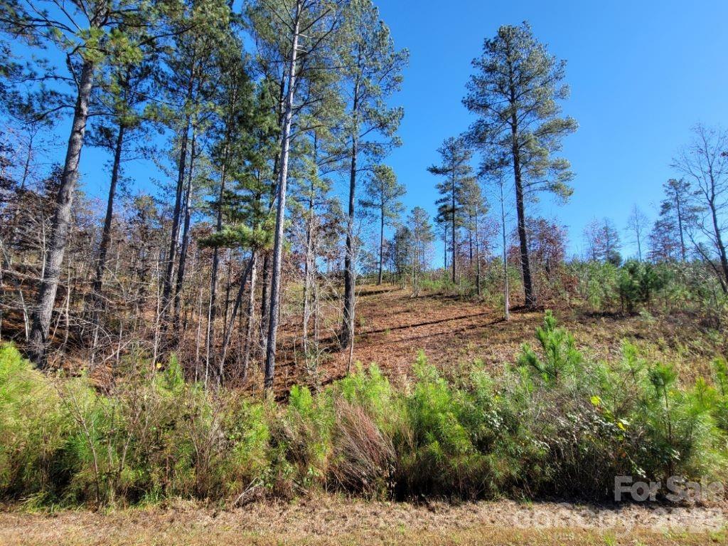 Island Pointe at Lake Vistas - Land