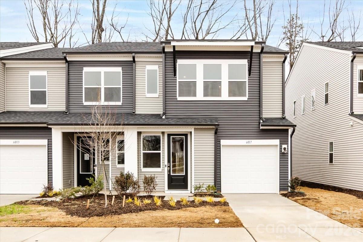 Fifteen 15 Cannon - Residential