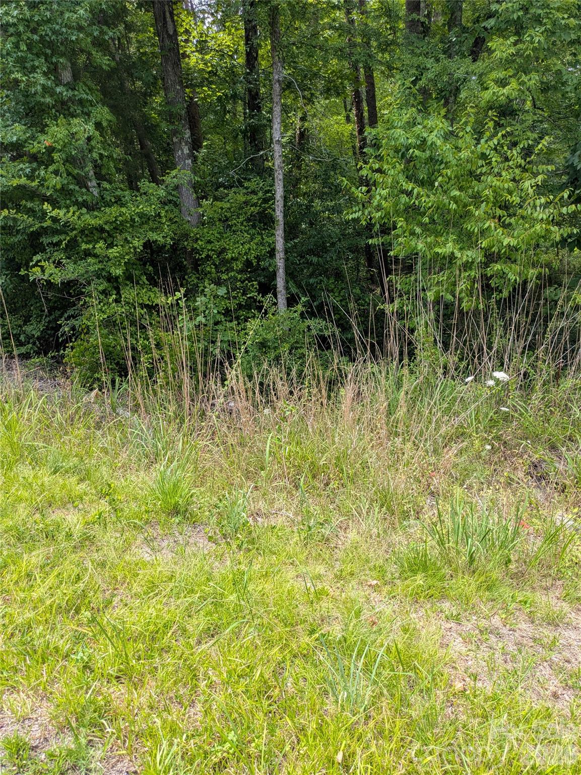 Over an acre of land to call your own. Zoned RA, so stick built, modular, manufactured home all allowed. Seller has had preliminary soil study done. Great location with Dan Nicholas Park, High Rock Lake and Salisbury just a short drive away!!  Come make this your new homesite, with the RA zoning you can have farm animals, so build that coop and get some chickens!!!